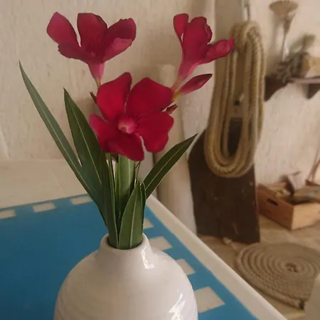 Lara Apartmán